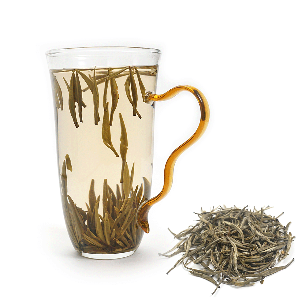 Premium Xue Zhu jasmine tea showing slender snow-white needle buds