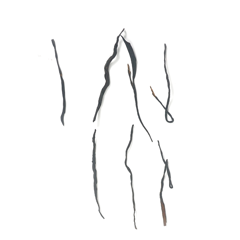 High-mountain China Red Black Tea dry leaves showing uniform shape and dark luster.