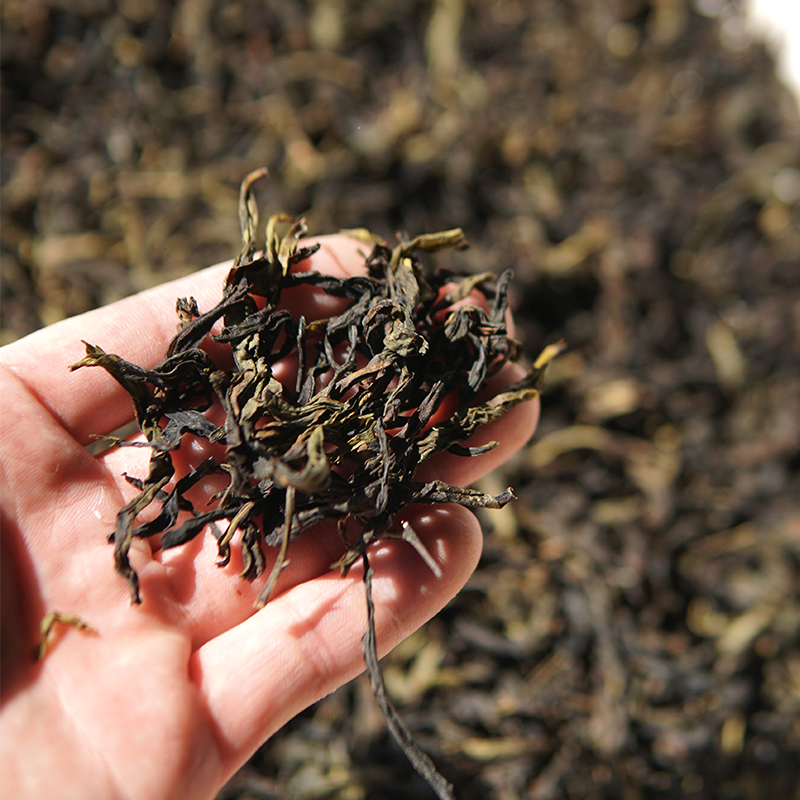 Chinese Oolong Tea