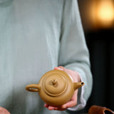 Teapot | Yixing Purple Clay Teapot 170ml
